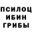 Псилоцибиновые грибы GOLDEN TEACHER Ghoteren