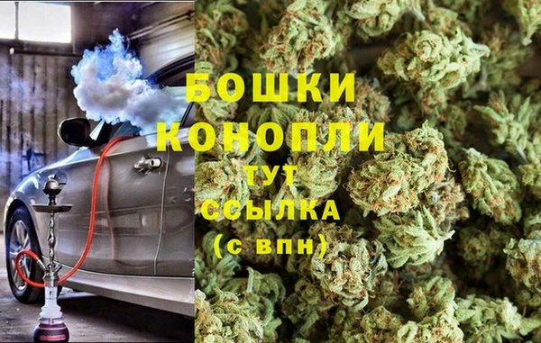 дурь Переславль-Залесский