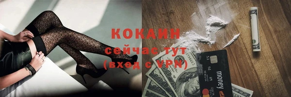 спиды Пересвет
