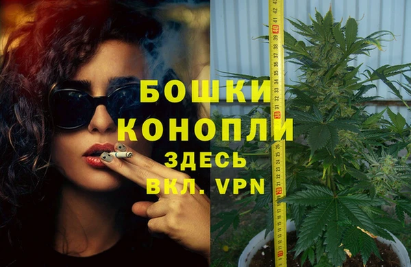 2c-b Пестово