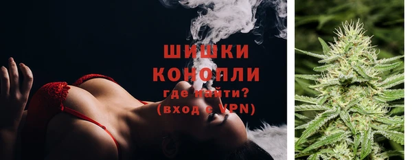 спиды Пересвет