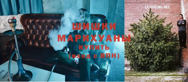 спиды Пересвет