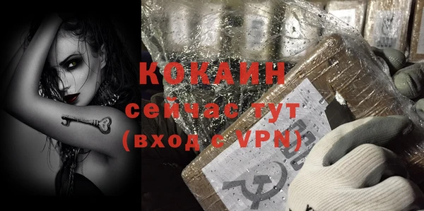 дурь Переславль-Залесский