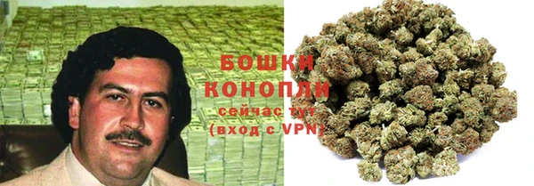 спиды Пересвет