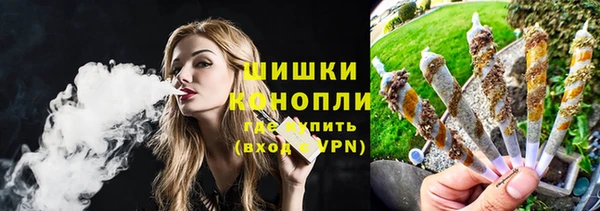 спиды Пересвет