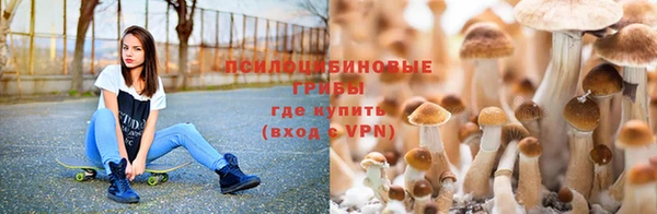 2c-b Пестово